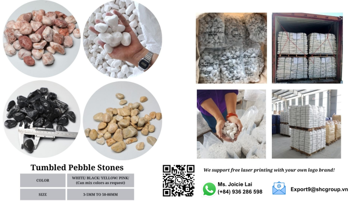Gravel pebble Stone Vietnam Supplier