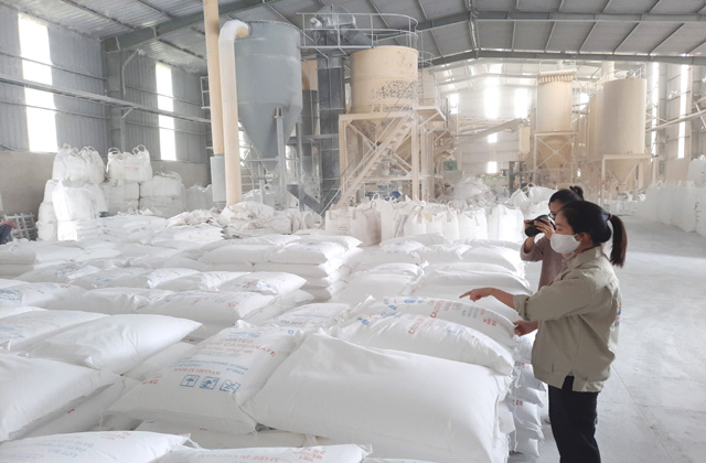 White Calcium Carbonate Powder for Industries